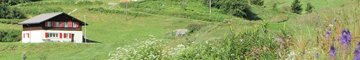 Ferienhaus für Gruppen an der Quelle des Rheins, wwww.feriengruppenhaus.ch